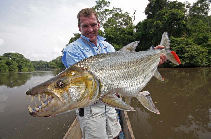 10 of the World's Most Dangerous Fish